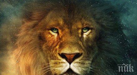 доказано универсалната зодия лъв