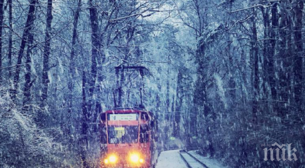 трамваите линии вече движат нормално