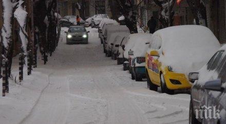 бял шок триметрови преспи варненско