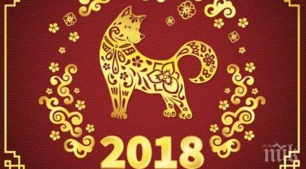 eто случва годината жълтото куче