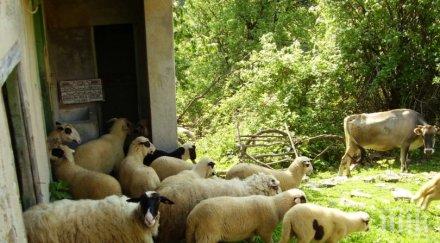 ниски данъци живот село