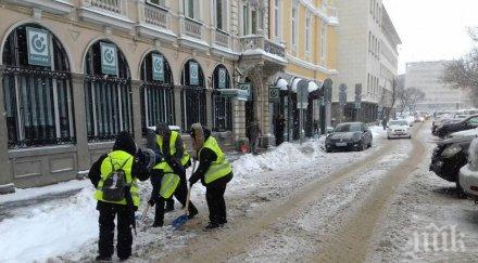 цмг почиства ударно училища детски градини снимки