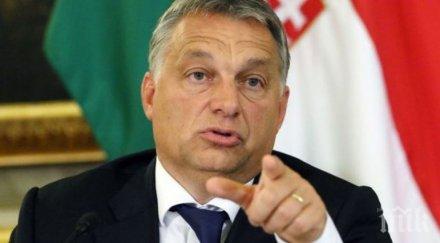 унгария силна нагла груба