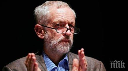 лейбъристите съюзят консерватори запазване митническия съюз предстоящо гласуване