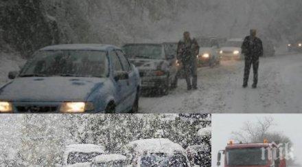 военни спасяват бедстващи никопол