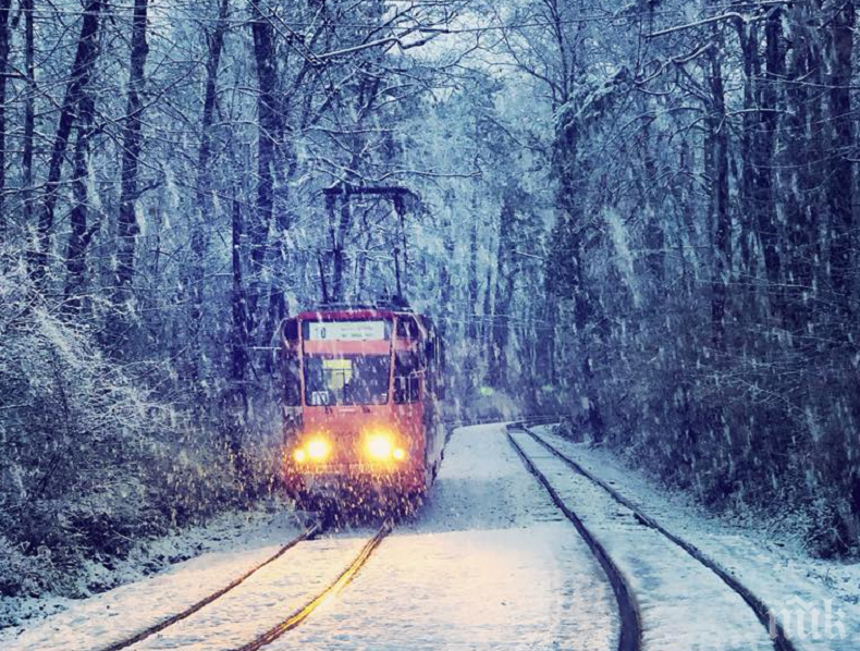 Трамваите по линии 4, 5, 8 и 10 вече се движат нормално