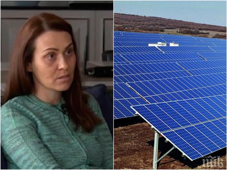 РАЗКРИТИЕ! Пловдивска фирма строила фотоволтаичния парк на Гинка край Пазарджик