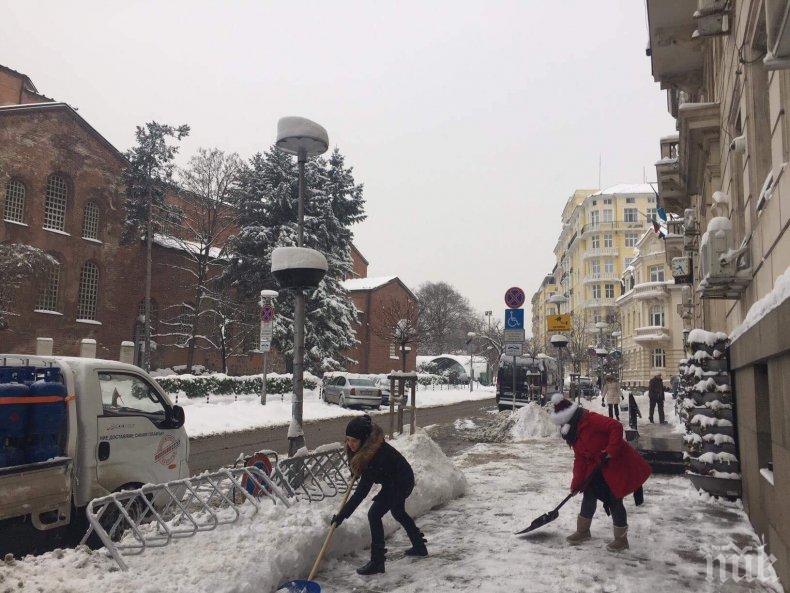 ПЪРВО В ПИК! Фандъкова изкара общинските чиновници да ринат сняг (СНИМКИ)