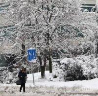 Студ и сняг сковаха Украйна и Великобритания