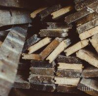 УДАР ПО ДЪРВЕНАТА МАФИЯ! Полицията запечата цех във Велинград