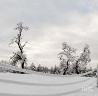 БЪРЗА РЕАКЦИЯ! Пожарникари спасиха пет деца от закъсал в преспите автобус край Дряново
