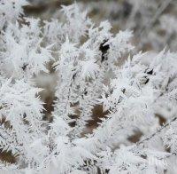 Рекордно ниски температури! Живакът в Кнежа падна до -21 градуса