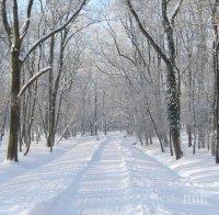 Обявиха частично бедствено положение в Белене
