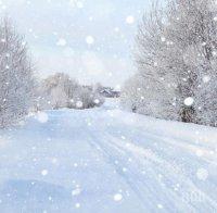 ТИР се обърна, затапи пътя София-Видин