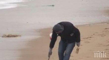 треска злато плажа несебър снимки