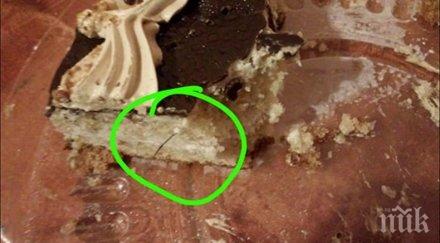 жена купи торта магазин слънчев бряг изпадна ужас откри