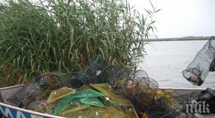 шампион борба баща арестувани екшъна пребития служител иара мандра снимки