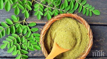 полезно суперхрани опитаме 2018 година