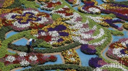 забравете студа пет места вечна пролет