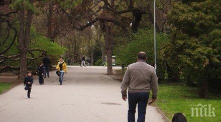 зъл помияр нахапа дете