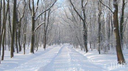 обявиха частично бедствено положение белене
