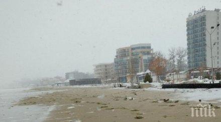 прокуратурата проверява частни имоти плажа слънчев бряг