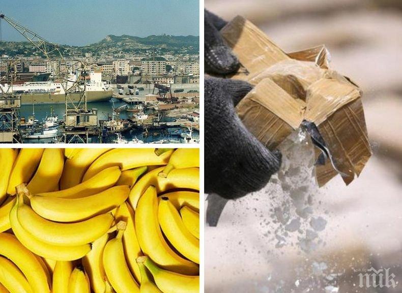 Удар! Албанската полиция спипа кокаин за близо 180 млн. евро в пратка с банани от Колумбия