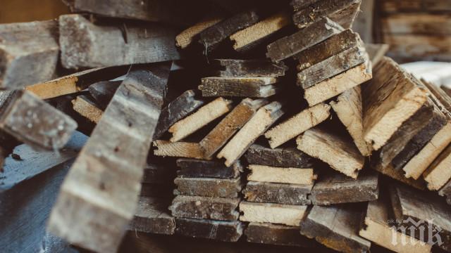 УДАР ПО ДЪРВЕНАТА МАФИЯ! Полицията запечата цех във Велинград