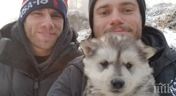 УЖАС! Американски скиор спаси 90 кучета от изяждане
