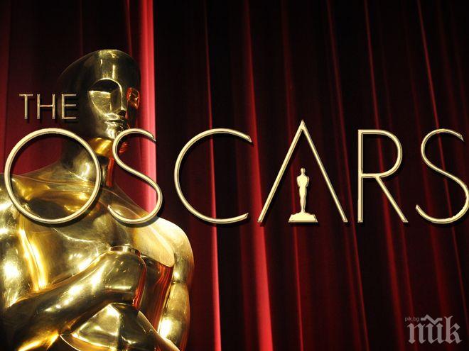 След скандалите и страшния гаф: Връщат ли блясъка си Оскарите?
