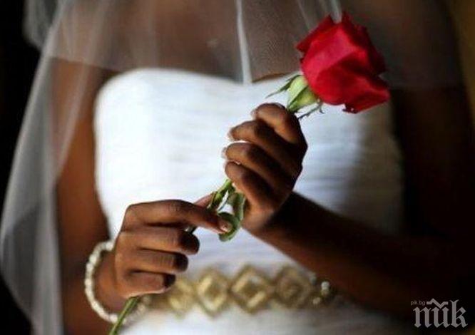 ЛУДОСТ! Мексиканки масово се омъжват за дървета (СНИМКА)