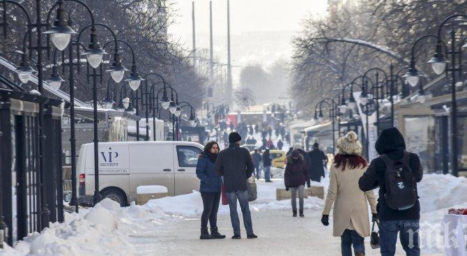 80% от вътрешнокварталните улици в София са почистени