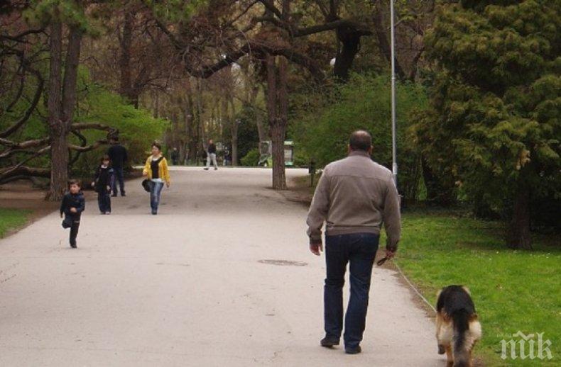 Зъл помияр нахапа дете