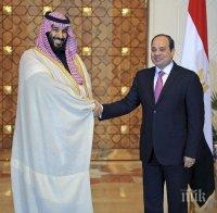 Саудитска Арабия и Египет създават съвместен фонд от 10 милиарда долара