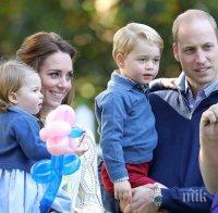 Англичани стават милионери от бебето на принц Уилям