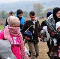 В Австрия се обявиха с подписка срещу депортацията на сирийско семейство в България