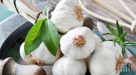 рецепти чесън връщат кръвното норма