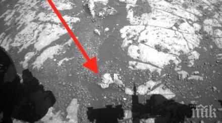 известен уфолог откри марс череп хуманоид