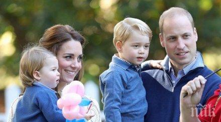 англичани стават милионери бебето принц уилям