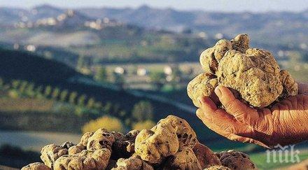 границата италианец отнесе глоба 000 евро опит внесе турция българия бели трюфели