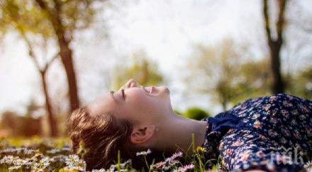 подсилим имунитета пролетта