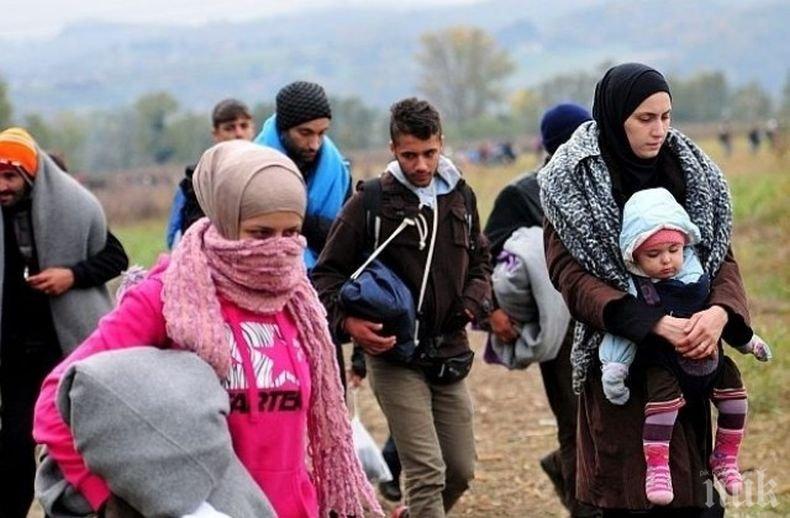 В Австрия се обявиха с подписка срещу депортацията на сирийско семейство в България