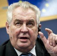 НОВО 20! Чешкият президент е обсъдил с директора на ЧЕЗ сделката с Гинка Върбакова