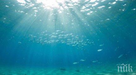 страшно океаните превръщат мъртви зони