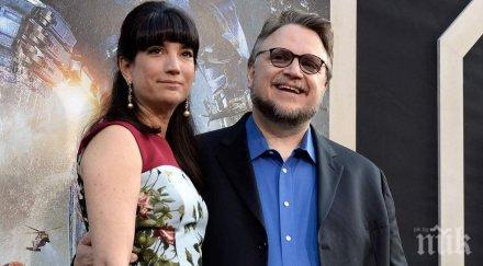 тайно гийермо дел торо развел 2017