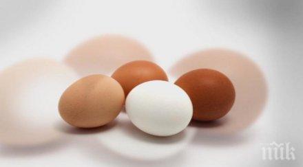 изтеглят търговската мрежа яйца птицефермата генерал тошево