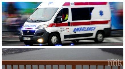 пик трагедията българка сърбия случи минути фаталния скок моста дунав снимки