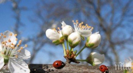 баба марта сменя курса пролетта идва уикенда 21°