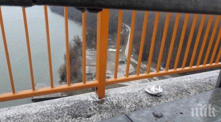 трагедия българка хвърли мост река дунав сърбия