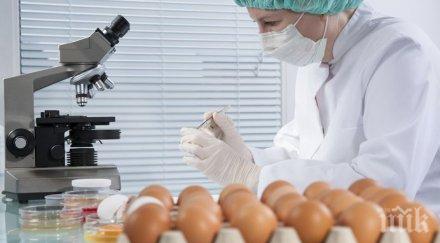 хиляди яйца конфискувани заради птичи грип
